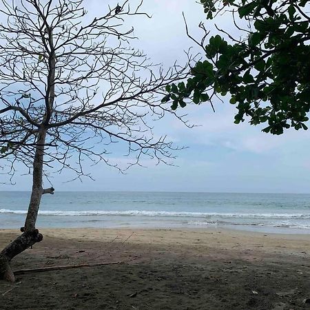 Beautiful Loft Near The Beach Apartment Manzanillo  Exterior photo