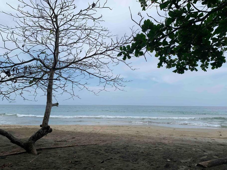 Beautiful Loft Near The Beach Apartment Manzanillo  Exterior photo